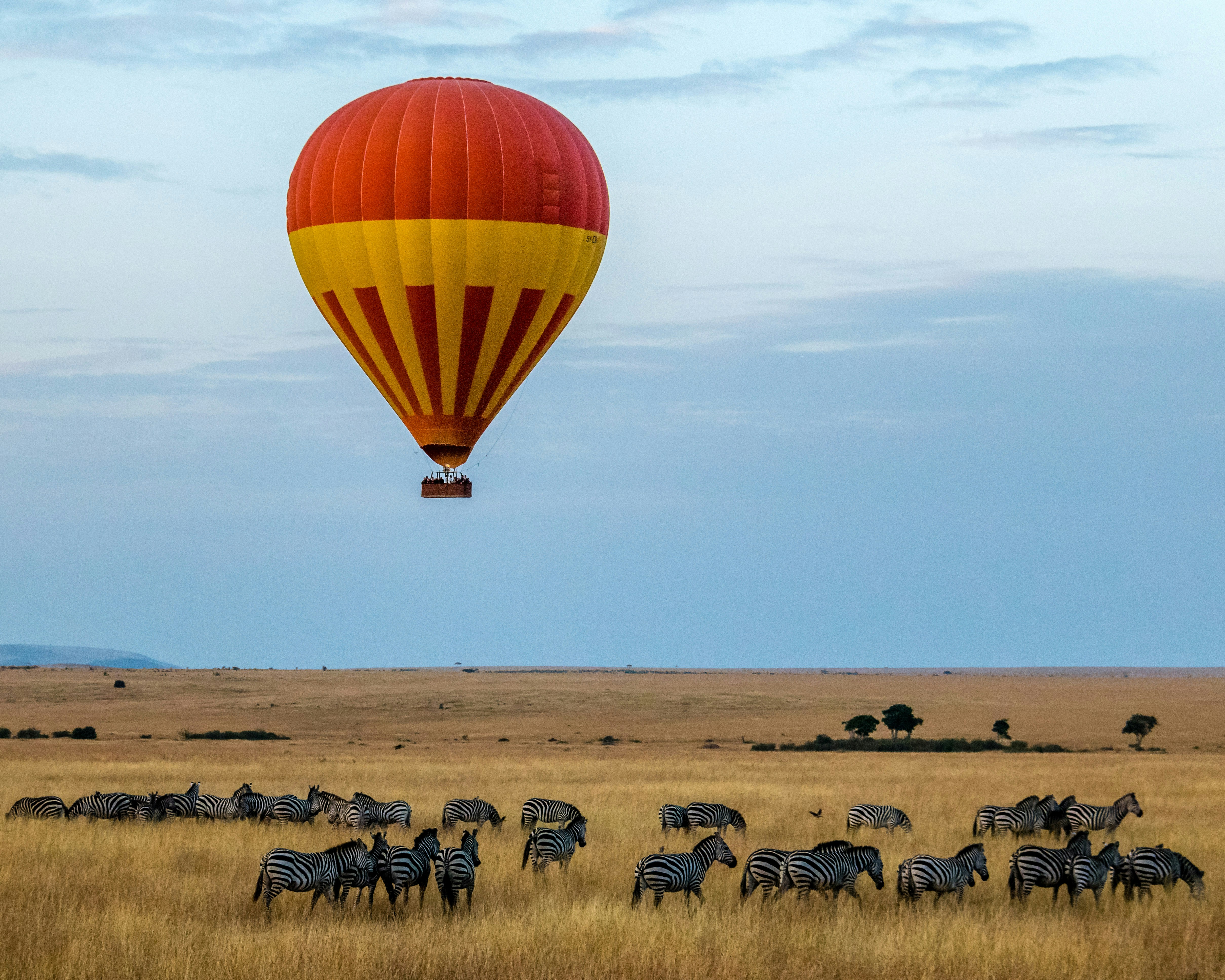Arusha coffee Tanzania safari highlands